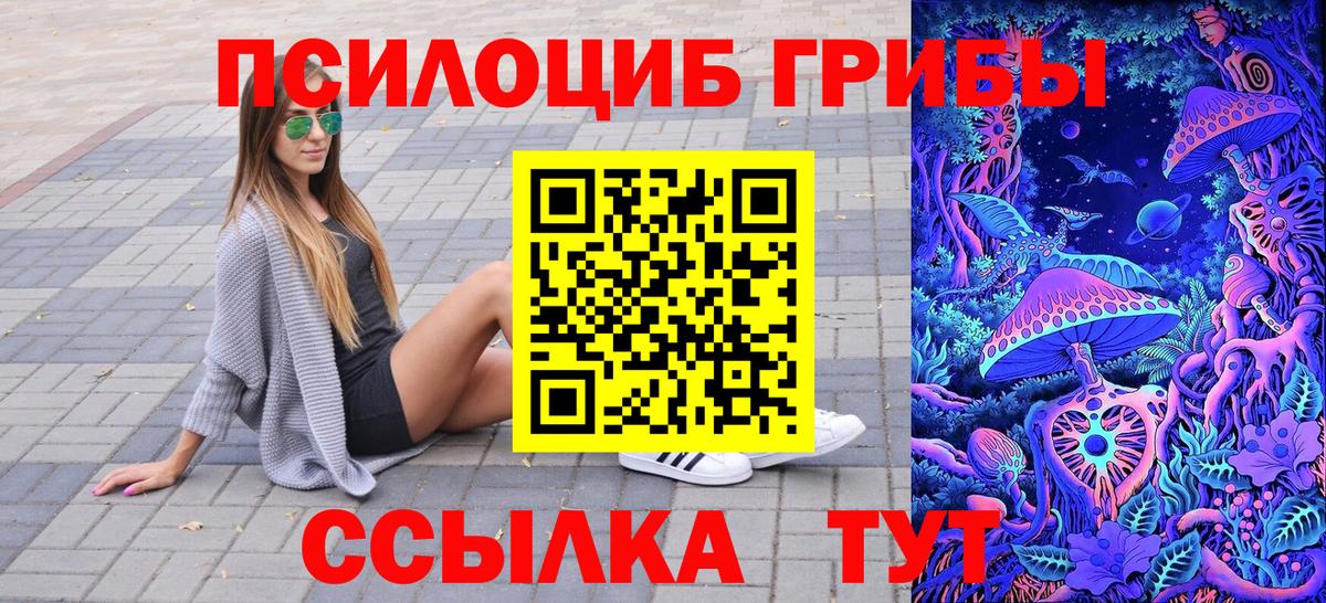 Псилоцибиновые грибы Cubensis Кандалакша